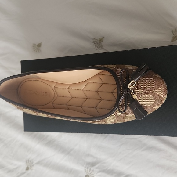 Shoes - Picture 2 of 3